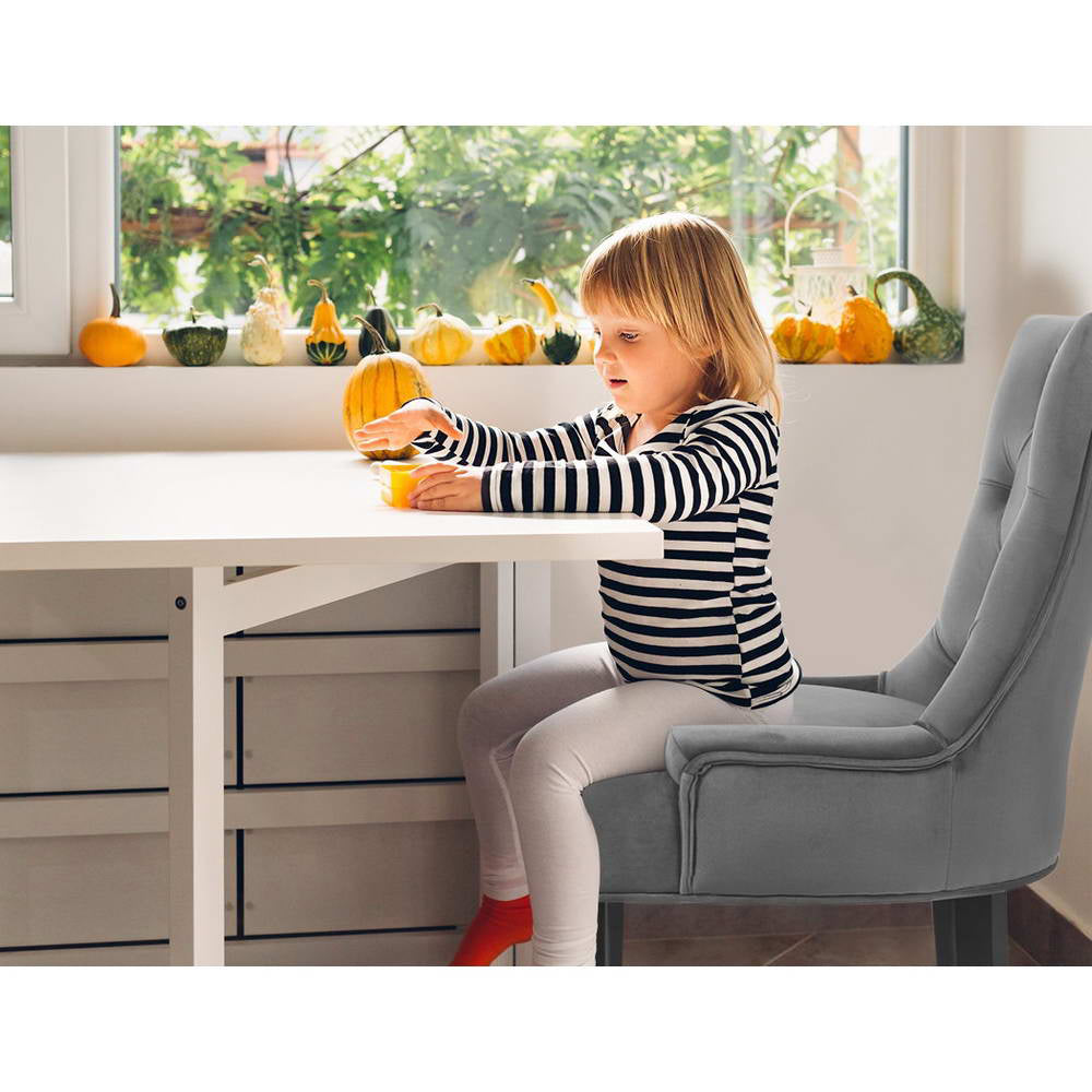 Elite Living Dining Chair Set of 2 Velvet Grey French Cayes