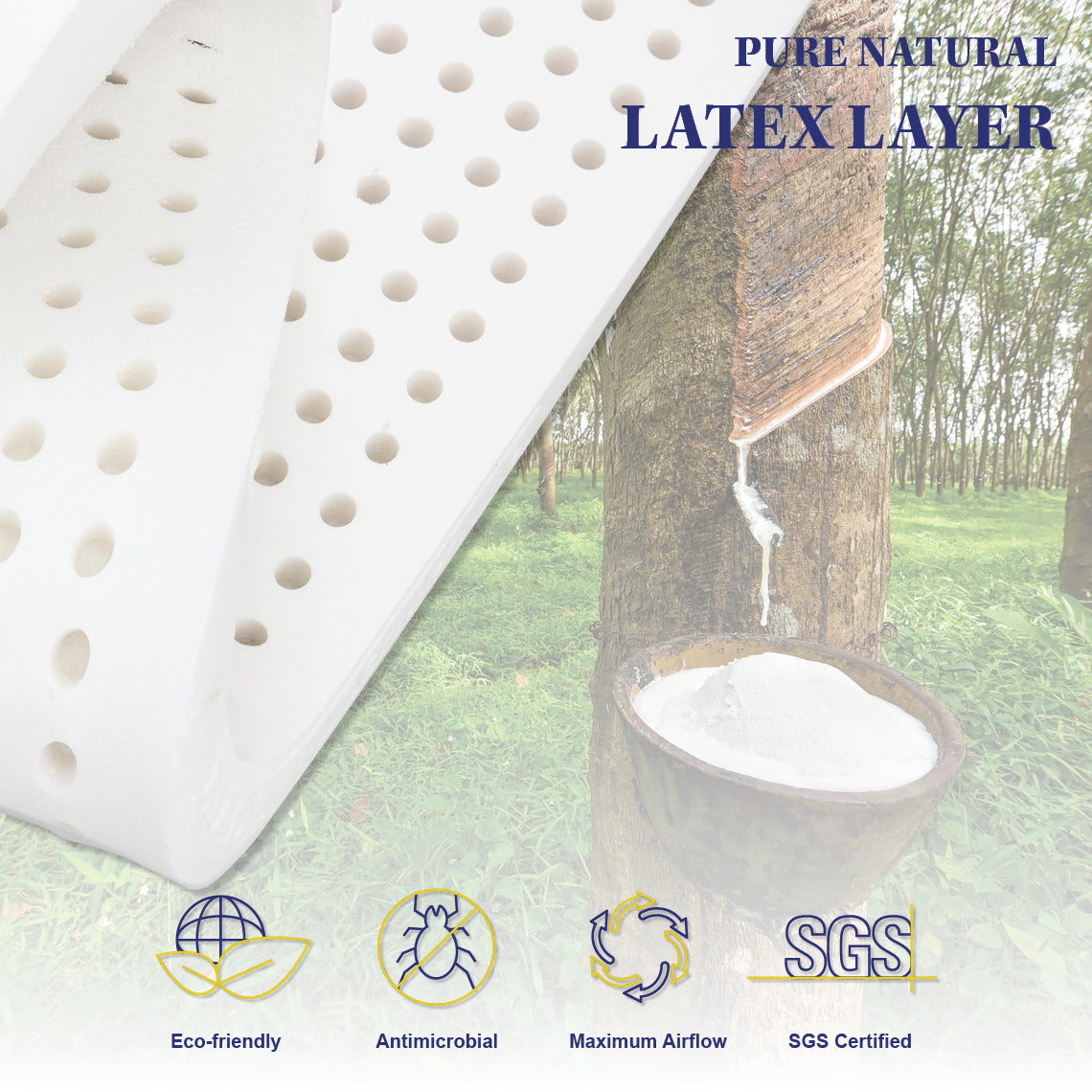 Double Size Mattress Latex Foam 7 Zone Pocket Spring