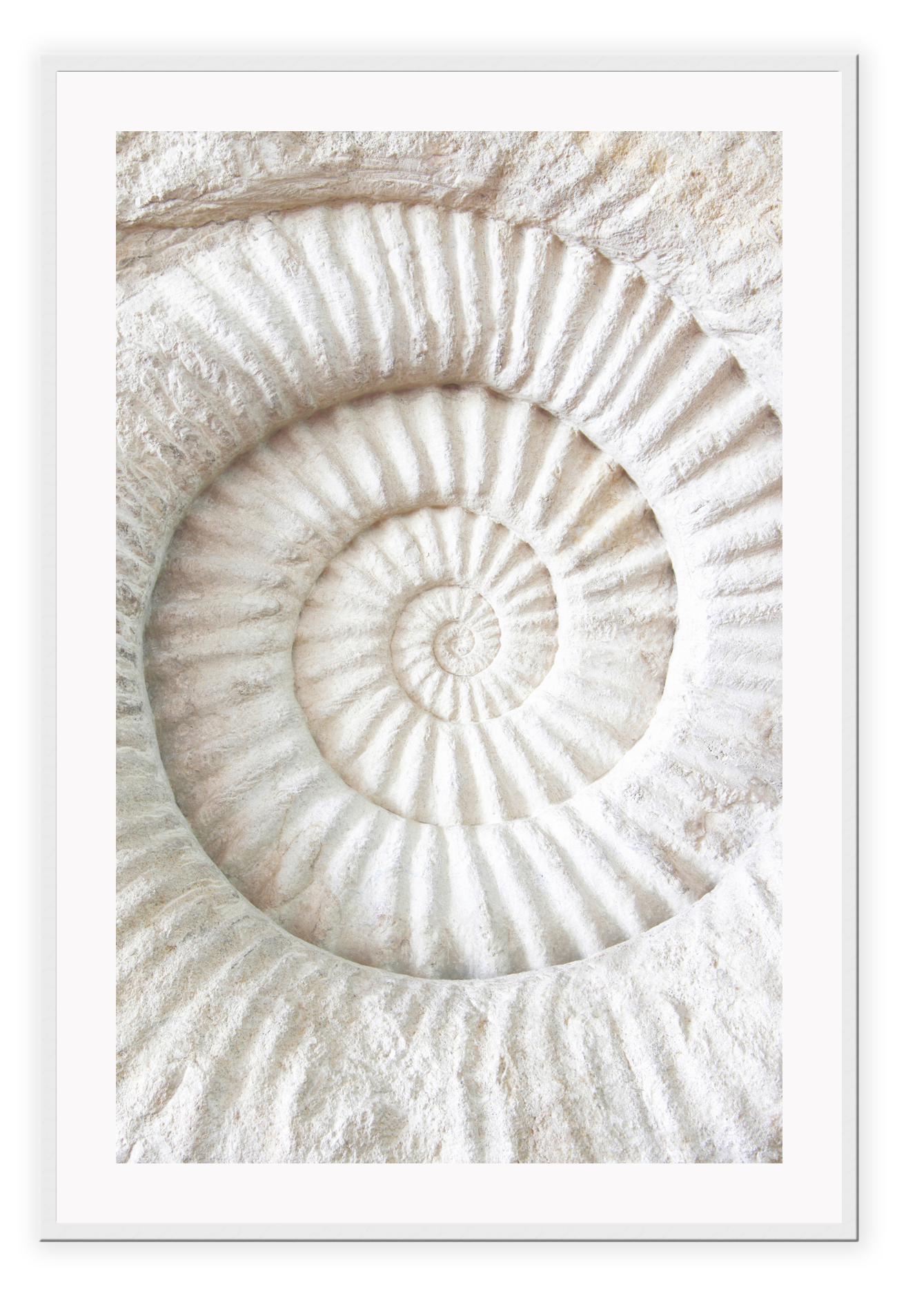 Caracol