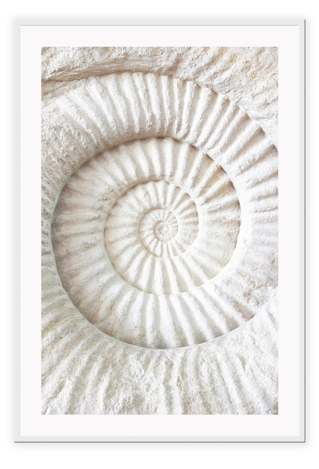 Caracol